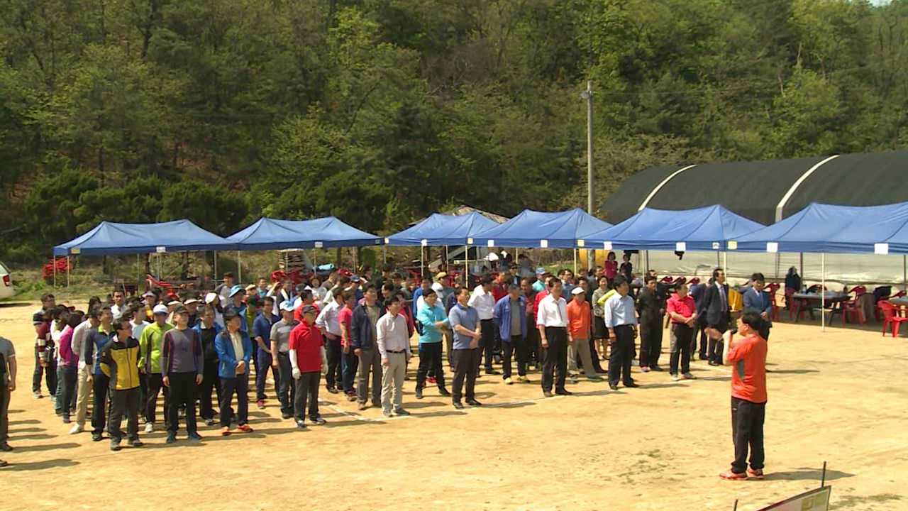 2015 의회 한마음 체육행사 사진