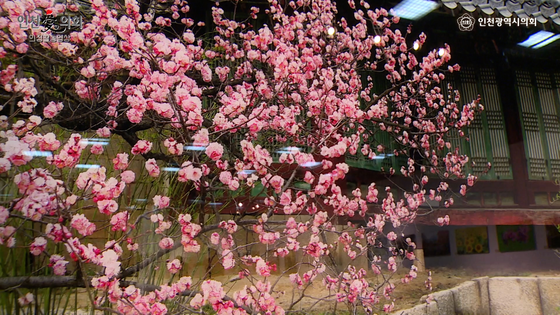 부평구 문화예술인협회 제17회 사랑나눔전 사진