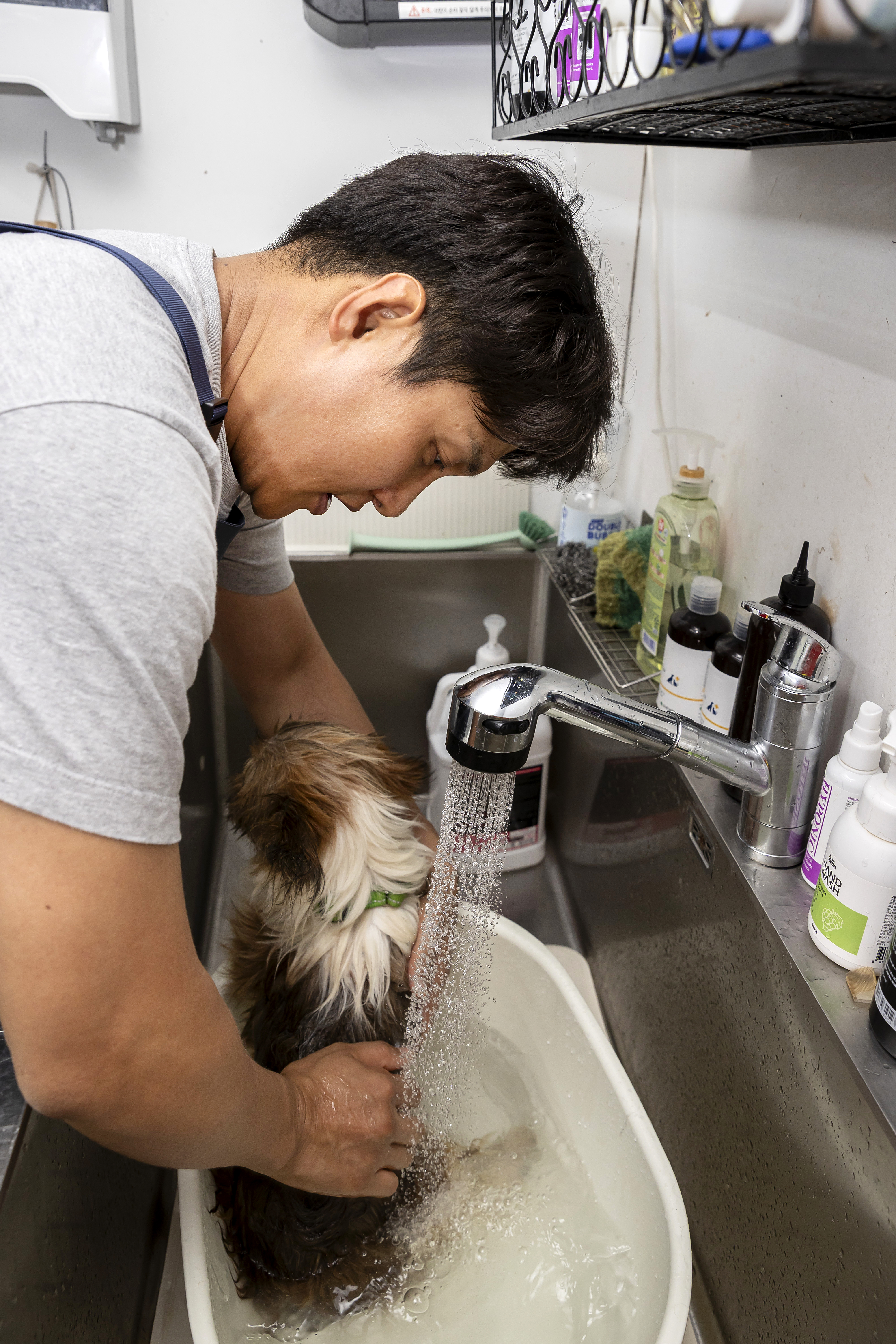 인천시 유기동물 보호시설 현실 점검 및 예산 확대 시급 이미지 3