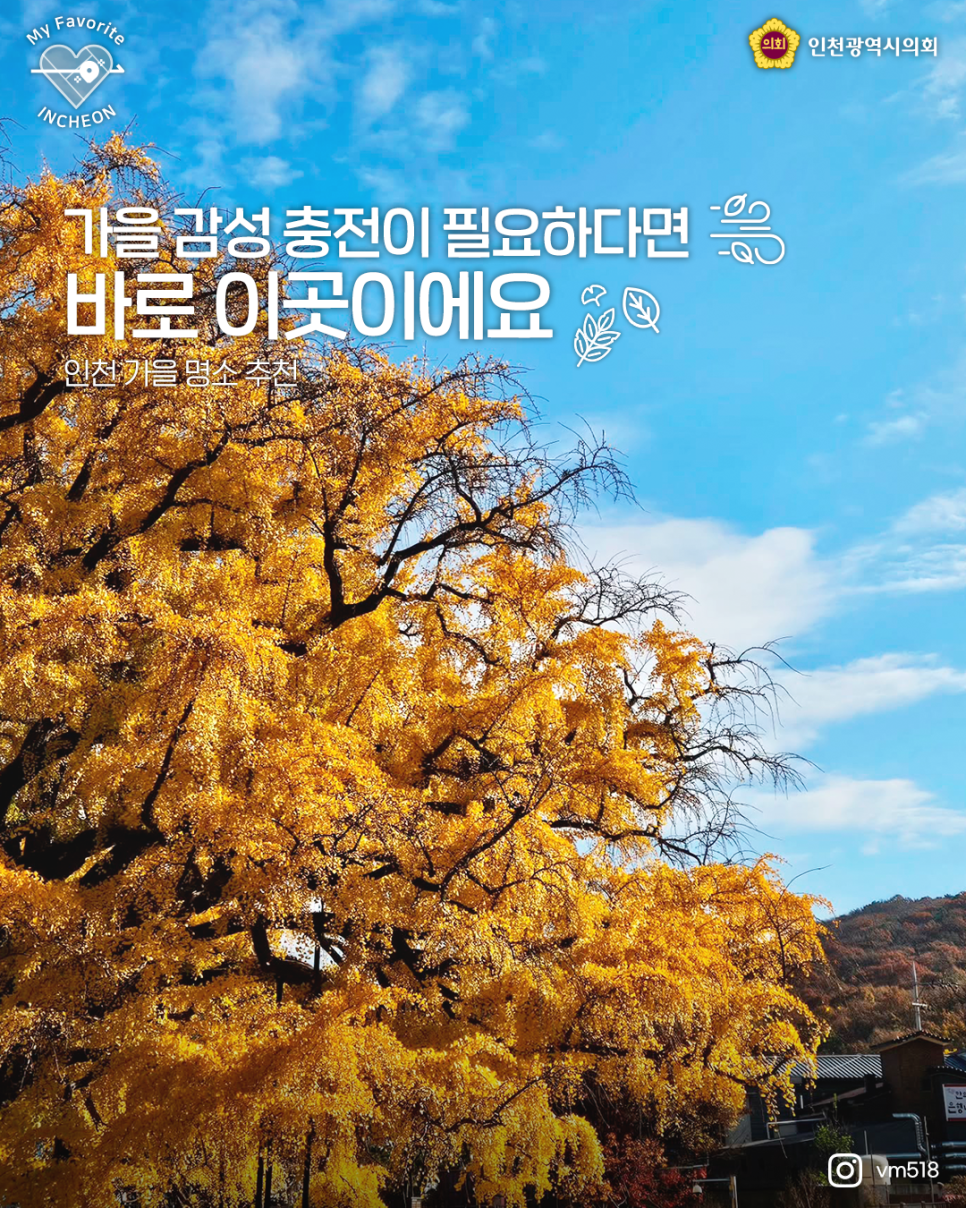 가을 명소 소개 대표 사진