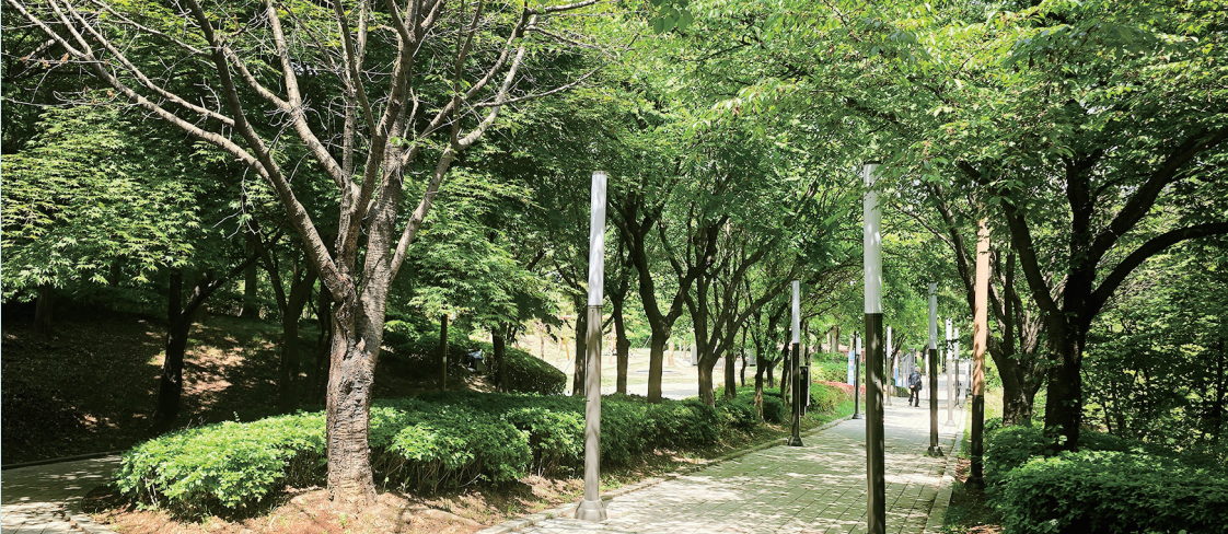 의정소식지 163호 이미지