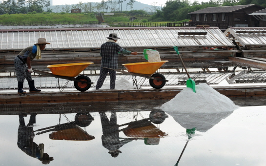 염전 전경 사진