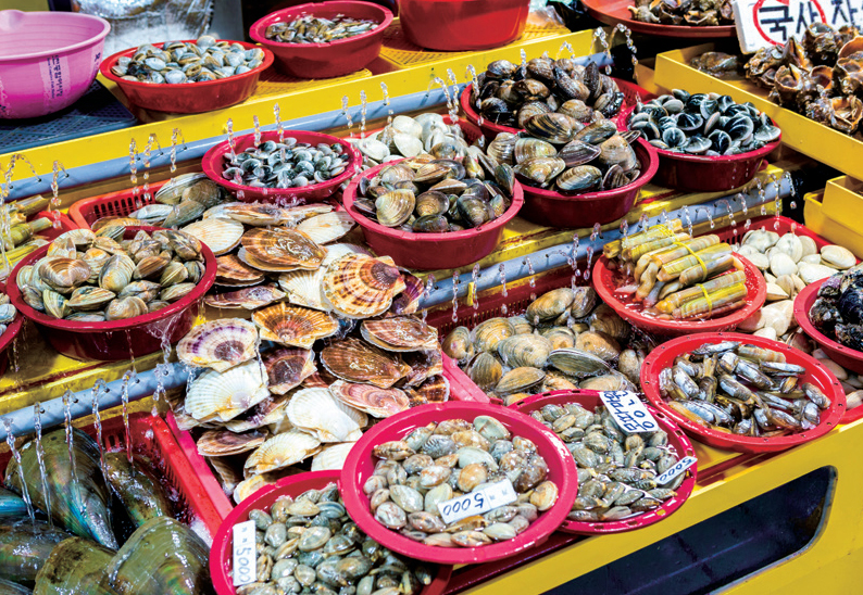 싱싱한 해산물 사진