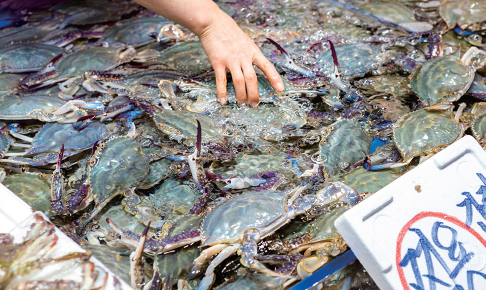 인천은 대표 꽃게 어장으로 유명하다.