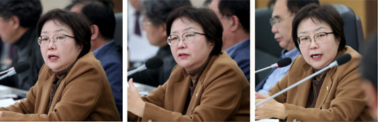 조성혜 의원 사진