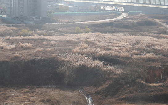 용마루 주거환경 개선 사업부지