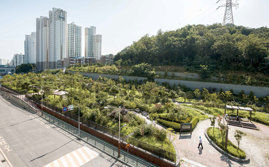 백운역 생태복원 숲