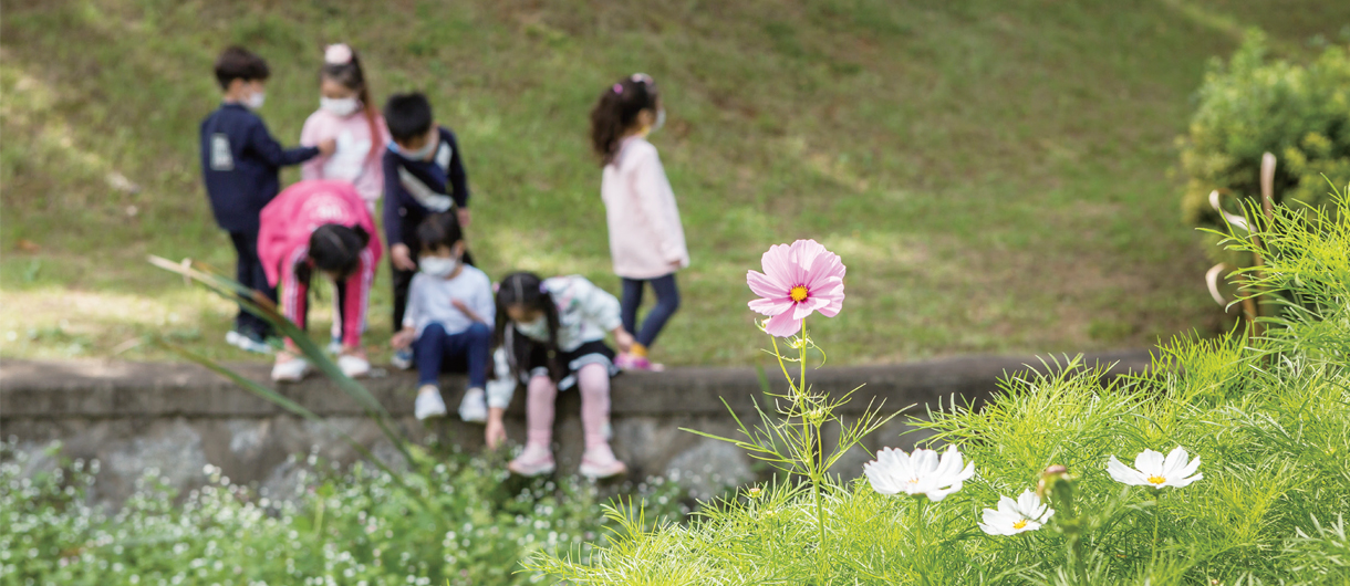 코스모스와 아이들 사진