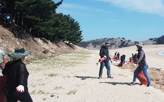 자월면 대이작도 해안쓰레기수거사업