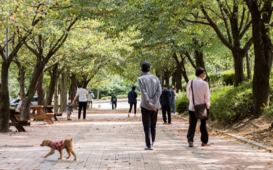 도심 속 숲을 체험할 수 있는 원적산공원