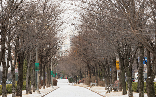 봉오대로 산책길 사진