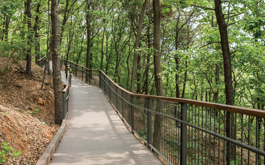 무장애나눔길 데크길