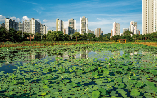지난 7월 개장한 친환경 연꽃공원(가칭)