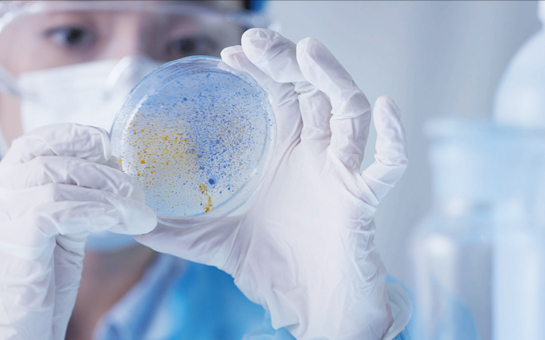 바이오 산업을 선도하는 백신공정 전문교육