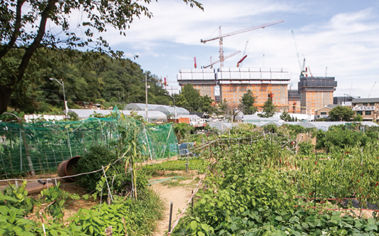 원적산공원 주차장 현장