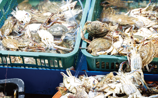 정서진중앙시장