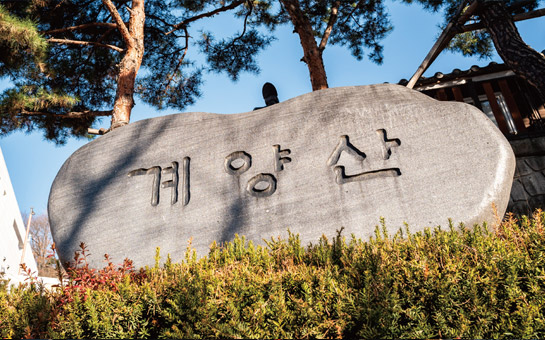 계양산 이미지