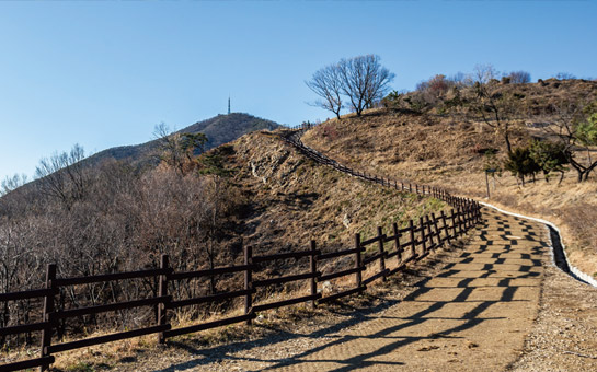 계양산 이미지