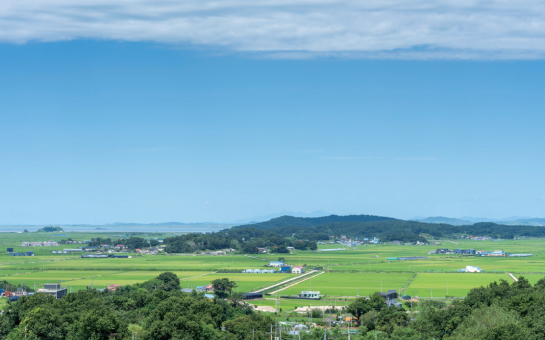 전망대에서 바라본 교동도 풍경