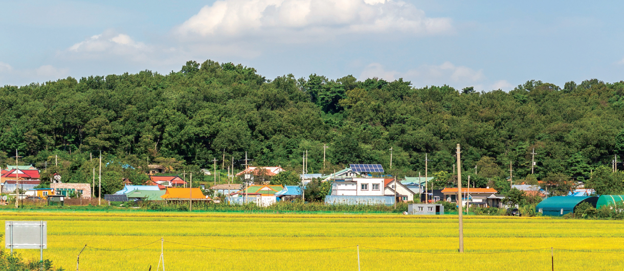 교동도 속 가득한 체험