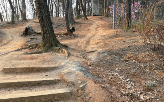 시민 일상 사진