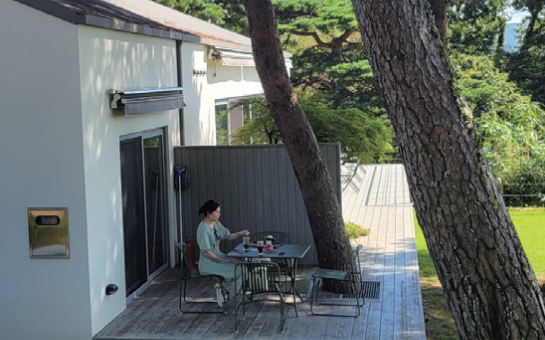 시민 일상 사진