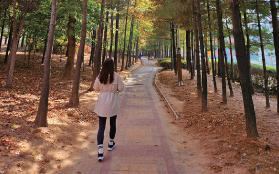 시민 일상 사진