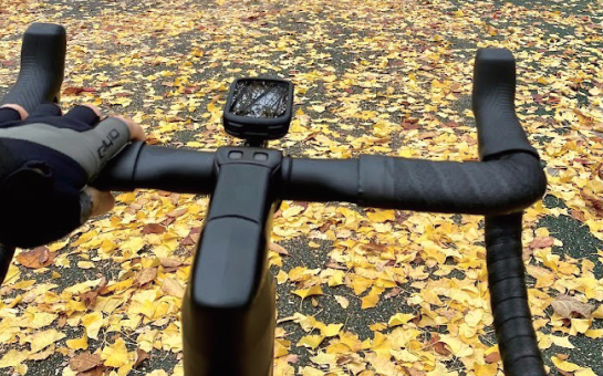 시민 일상 사진