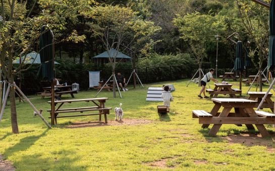 원적산공원 사진