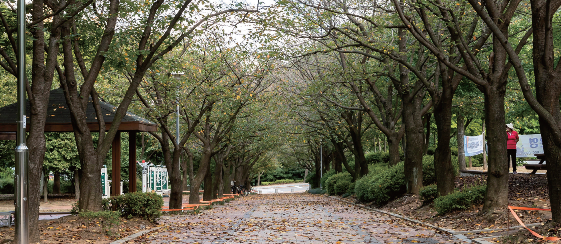 원적산공원 사진