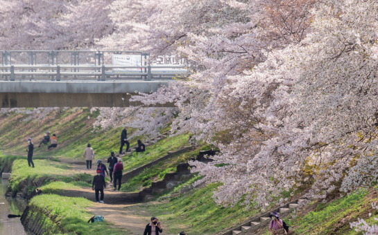 부평 굴포누리  기후변화체험관 사진