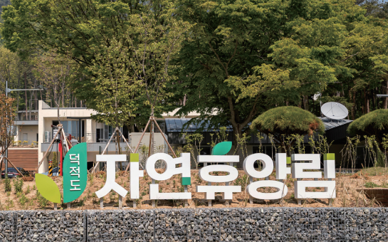 비조봉 숲길 사진