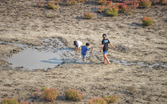 소래습지에서 갯벌체험하는 아이들 사진