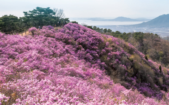 빛따라 인천