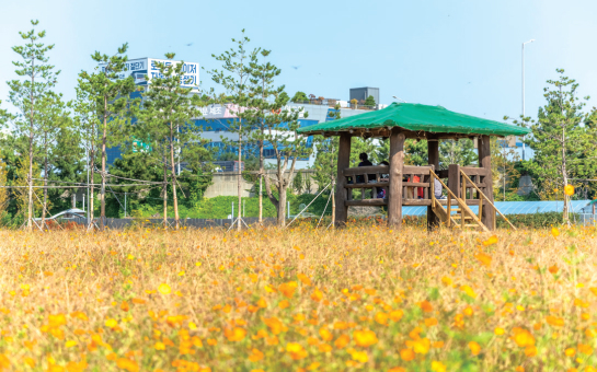 빛따라 인천